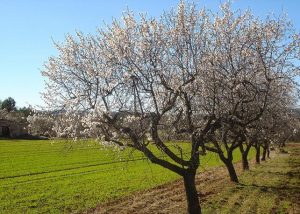 199738627_ab641bb1a6_z_(1)