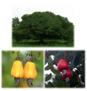 screen-shot-2016-12-28-at-13-47-19