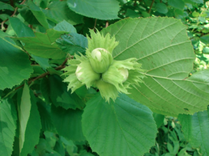 screen-shot-2016-12-28-at-14-32-27