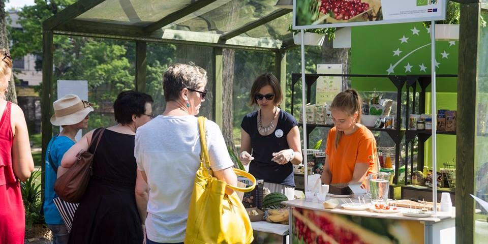 13557955_1614952922149147_4495061195458985177_n