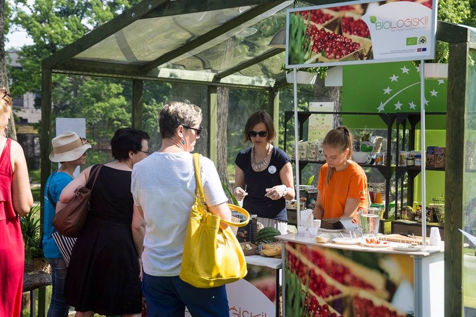 13557955_1614952922149147_4495061195458985177_n